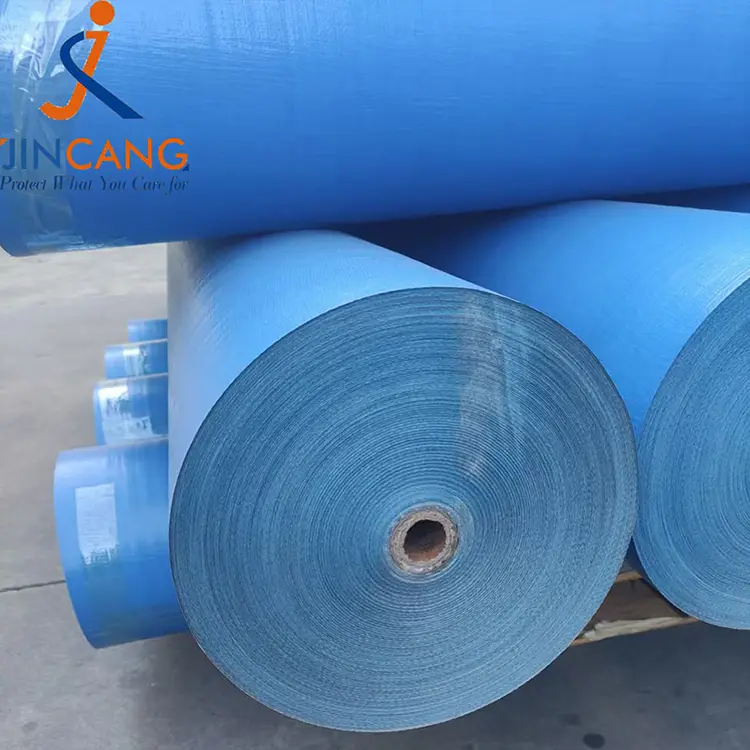 160 g Blue PE Tarpaulin Roll