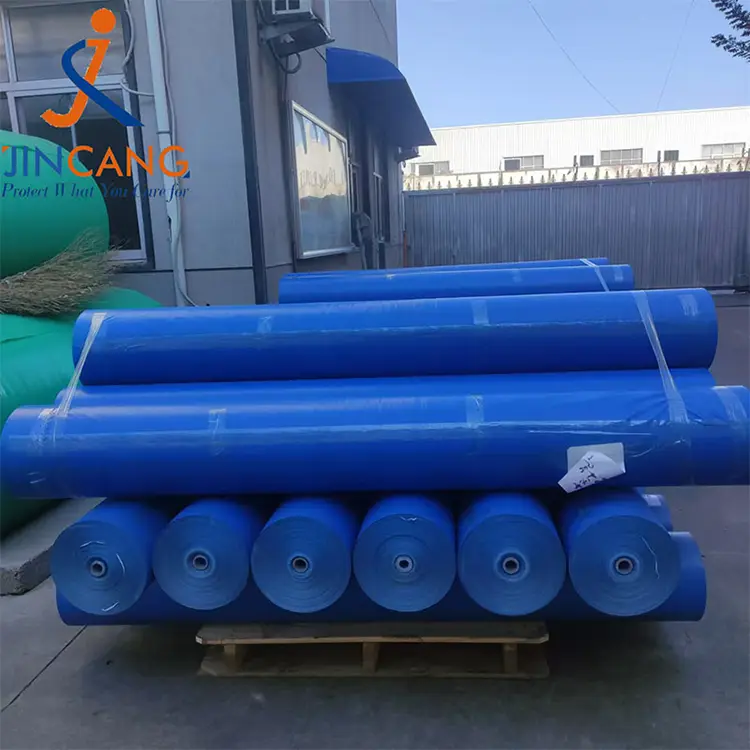 160 g Blue PE Tarpaulin Roll