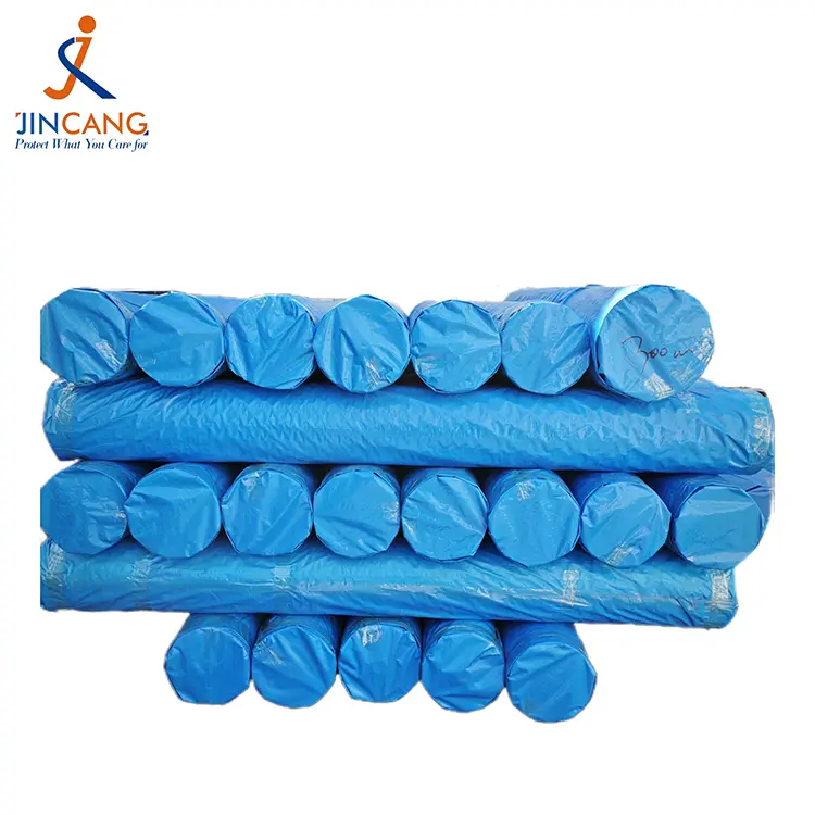 160 g Blue PE Tarpaulin Roll
