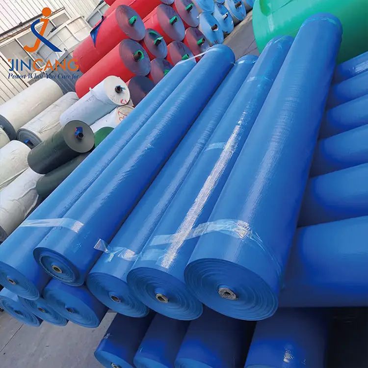 160 g Blue PE Tarpaulin Roll