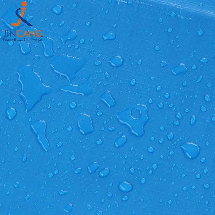 220g Blanco azul con lona impresa en PE