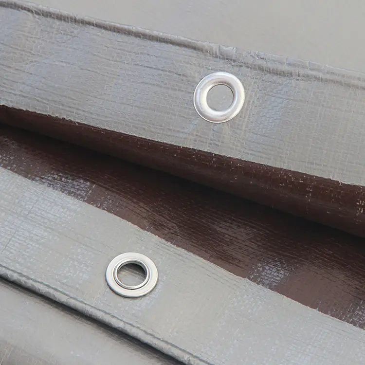 220 g de plateado marrón lona de educación