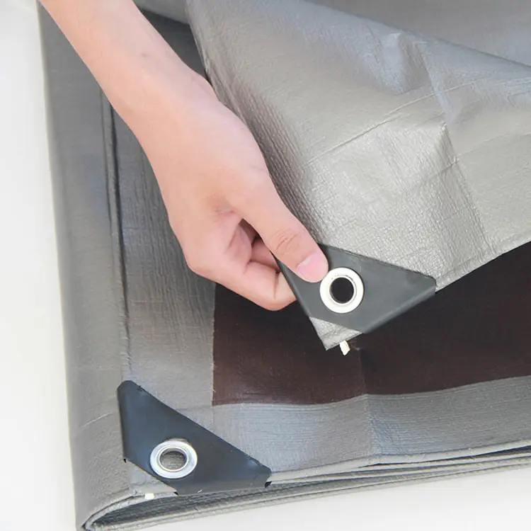 220 g de plateado marrón lona de educación