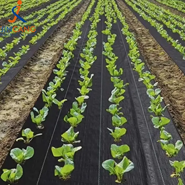 Alfombra de hierba duradera